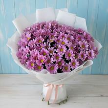 Букет цветов из:  Хризантемы в Фазанном