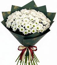 Букет цветов из:  Хризантемы в Фазанном