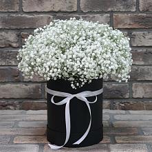 Цветочная композиция из Гипсофила в шляпной коробке в Фазанном