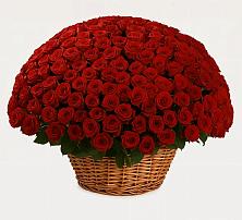 Премиум букет из: Розы #REPLACE_PRED# Фазанном